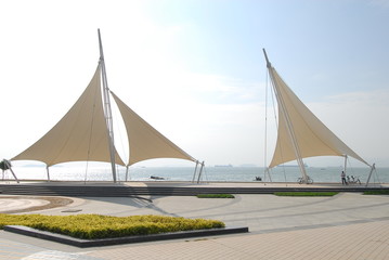 【浙江本土新增,浙江 新增】