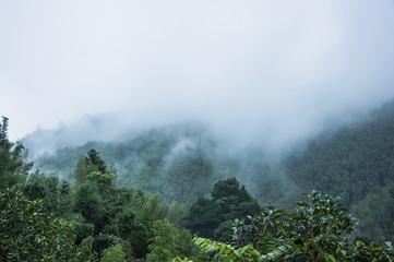 【雨刮安装方法,雨刮耍安装】